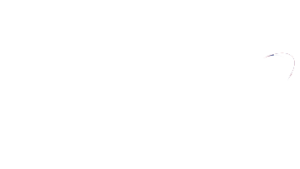 Alimpex